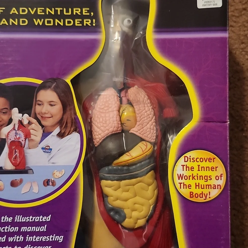 Anatomy lab Smithsonian science open box human body organs puzzle learning